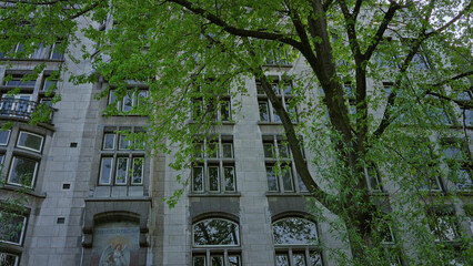 Historic amsterdam building with classic architecture surrounded by lush green trees and a clear...