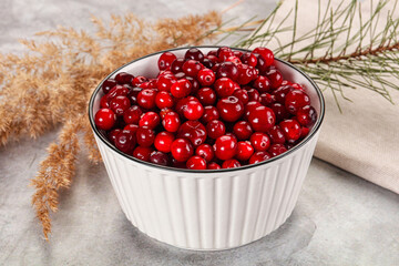 Ripe sweet sour cranberry heap