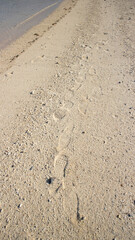 砂浜の足跡