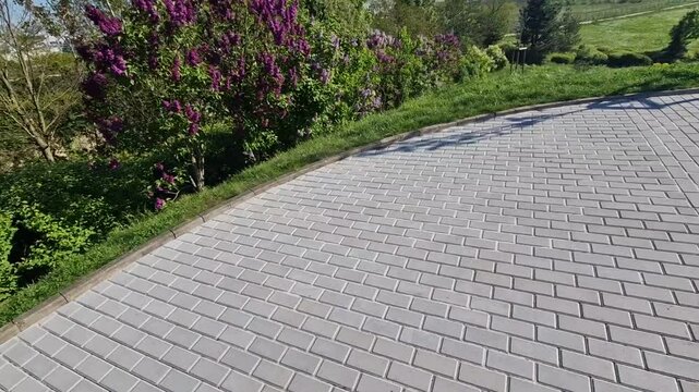 across the path there is a channel with a metal grid for drainage interlocking paving. the water is drained from the surface into the gutter and further into the rain sewer, shrubs
