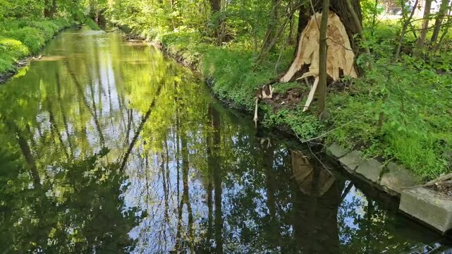 The dam of the breeding fish pond has a canal safety overflow similar to a weir. the water flows under a stone bridge with several arches. bridge on crown of dam with a wooden railing in silhoulete