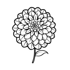 Zinnia Flower Outline – Minimal Line Art Vector Icon
