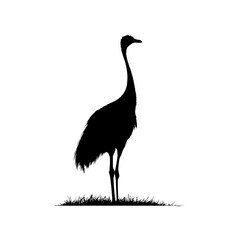 Ostrich silhouette vector