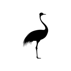 Ostrich silhouette vector