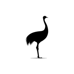 Ostrich silhouette vector