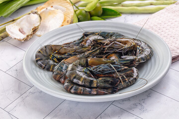 Raw wild frsh Tiger prawn