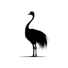 Ostrich silhouette vector