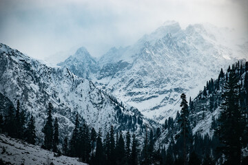 snow covered mountains