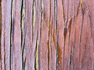 Fototapeta premium Cracked paint plank.