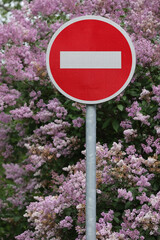 Round Red And White "No Entry" Traffic Sign On A Metal Pole. Softly Blurred Blooming Lilac Flowers Background.