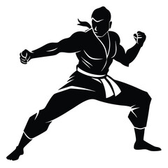 Powerful Martial Arts Silhouette Masterful Pose and Strength