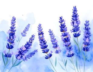 Naklejka premium Cozy watercolor sketch of lavender flowers enhanced by an icy blue hue and gentle style