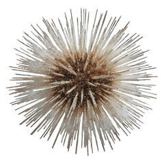 Obraz premium Decorative spherical object with spiky texture against a plain background, ideal for design use