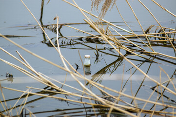 Szklana butelka pływająca w wodzie, zanieczyszczenie środowiska.