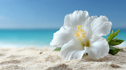 White Hibiscus Flower on Tropical Beach Sand
