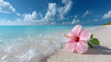 Pink Hibiscus Flower on a Tropical Beach
