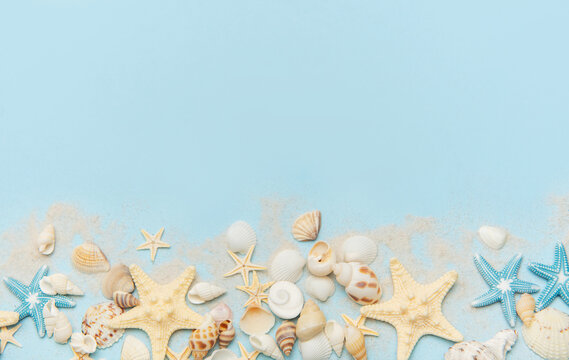 Starfish and seashells arranged on sandy blue background