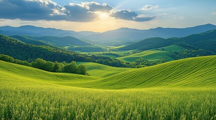 Obraz premium green field and mountains