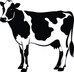 Black and white cow isolated on white background in vector format