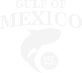 Gulf of Mexico Est. 1550 Retro Vintage Svg Design