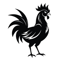 rooster illustration Vector icon isolated on white background