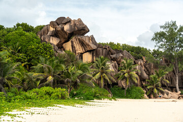 White sand stretches across La Digue beach with dense tropical greenery creeping