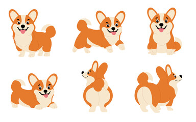 Corgi dogs set. Cute corgis in different poses. Corgi sitting, running, standing. Cute animals.
