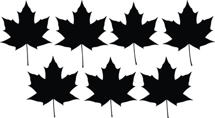 Maple leaf silhouettes, Canadian nature symbol, black botanical icons, autumn foliage design, seasonal vector art, symmetrical leaf pattern, isolated decorative illustration, natural forest theme