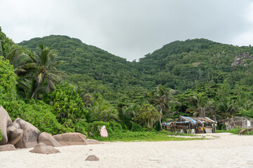 A handmade beach bar with palm roof stands on white sand near dense tropical jungle