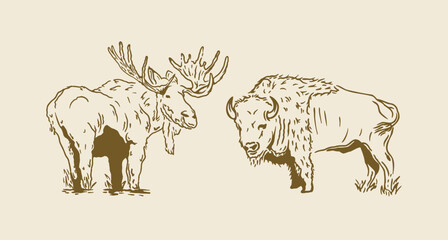 Wildlife Line Art of Moose and Bison – Vintage hand-drawn animal illustration perfect for rustic designs, t-shirts, prints, stickers, and nature-themed projects.