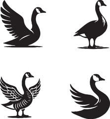 Black-and-White Stylized Goose Illustrations in Distinct Dynamic Poses