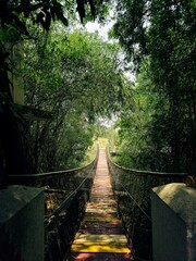 Fototapeta premium Colorful Wooden Suspension Bridge Through Forest PathColorful Wooden Suspension Bridge Through Forest Path