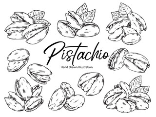 Set of hand drawn pistachio nuts outline drawing illustration