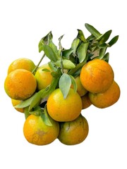 Fresh Orange Fruit Isolated on White Background
A clean and minimal image of a ripe orange fruit...