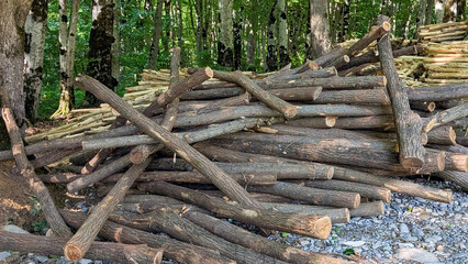 Weathered wooden poles neatly stacked within dense forest landscape, demonstrating industrial...