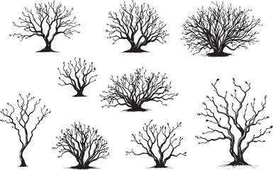 Obraz premium Set Trees. Hand drawn vector illustration 