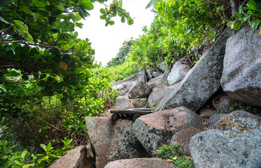 Trail through tropical jungle and granite boulders on La Digue Island, Seychelles