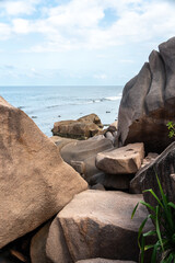 Rough hiking trail with large granite boulders, wooden planks, and dense palm vegetation s