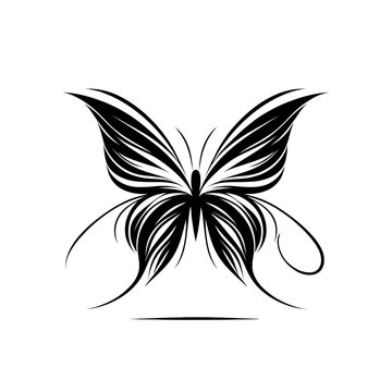 Vector illustration of batterfly in black strokes and lines style. Nature beauty, fauna, decorative element