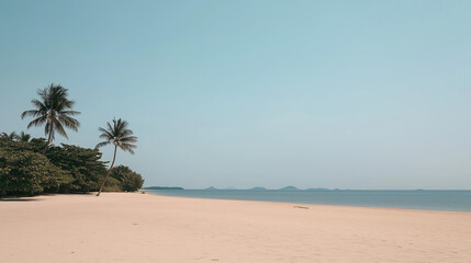 tropical beach with palm trees and sea