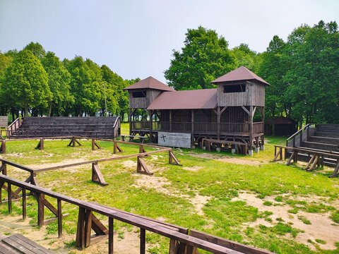 Arena turniej&oacute;w rycerskich w Grunwaldzie