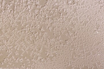 Intricate ice patterns dance across a frosted surface, creating a mesmerizing winter texture.