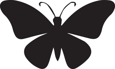 butterfly, insect, wing, flight, nature, colorful, flutter, garden, delicate, beauty, metamorphosis, antenna, pollinate