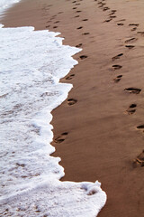 Foamy waves erase footprints in the wet sand, capturing a fleeting moment at the edge of the ocean. A poetic image of memory, movement, and the gentle power of nature’s tide.