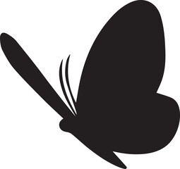 butterfly, insect, wing, flight, nature, colorful, flutter, garden, delicate, beauty, metamorphosis, antenna, pollinate