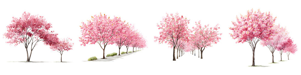 Cherry blossom trees in a spring garden landscape