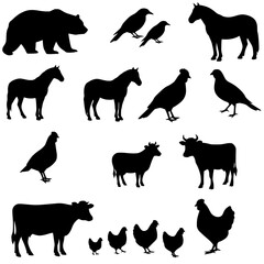 Collection of farm animals and birds silhouettes isolated on transparent background