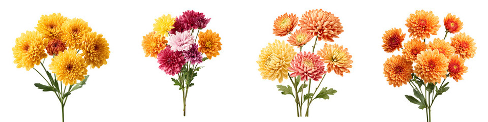 Vibrant bouquet of colorful blooming flowers