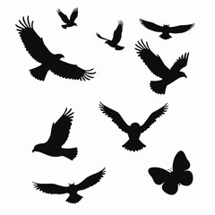 Obraz premium Silhouettes of Flying Birds and Butterfly on White Background
