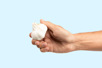 Male hand holding a full garlic isolated on cyan background